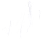 东鹏 陶土 亮面 家装墙砖 400*800mm 浅色