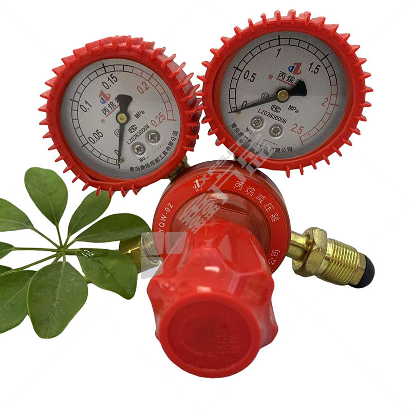 鼎皓 丙烷减压器 YQW-02 1.6MPa 0.1-0.15MPa