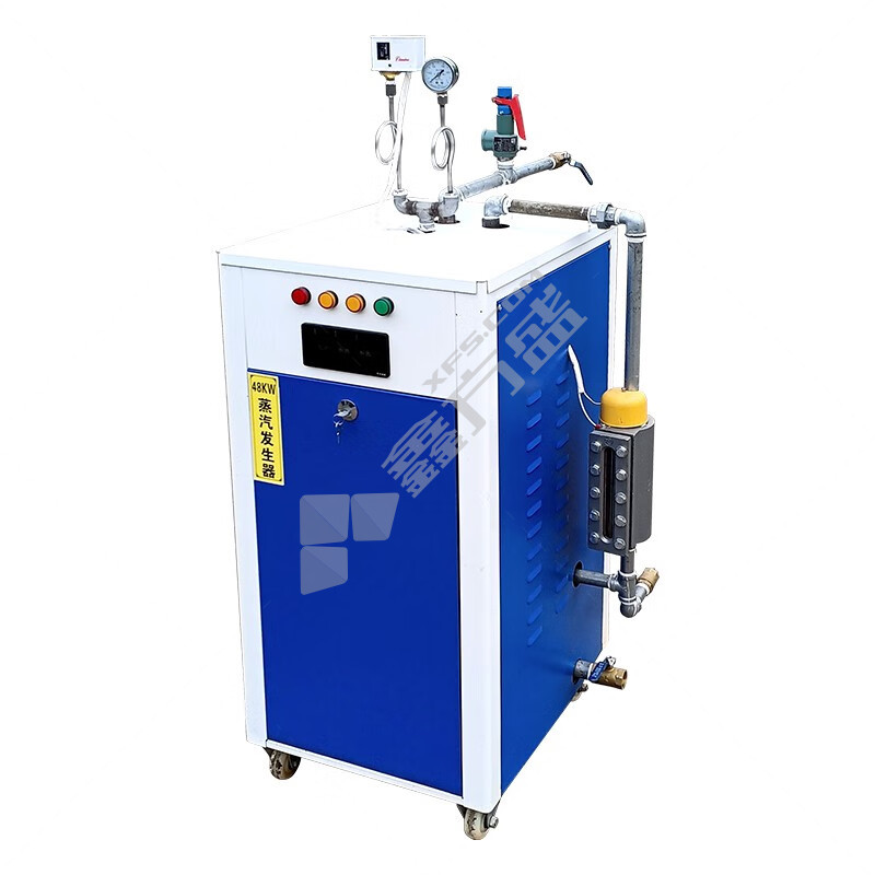 蒸汽发生器含蒸汽管 YG-36千瓦 36kW 30L 60L/h