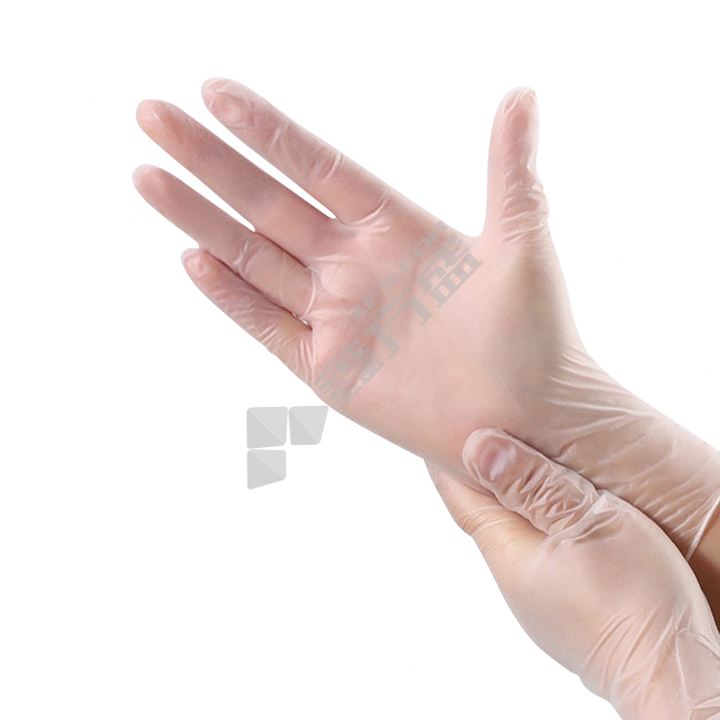 康惠洁 9寸PVC袋装手套 L 透明色