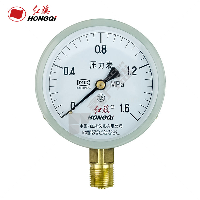 红旗 Y100 压力表 0-1MPa 100mm M20*1.5
