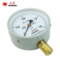 红旗 Y100 压力表 0-1MPa 100mm M20*1.5