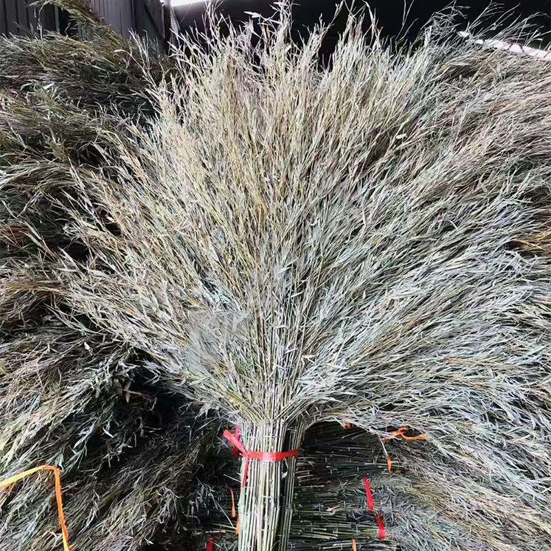 物业环卫清洁大扫把 长约2m*宽约1m