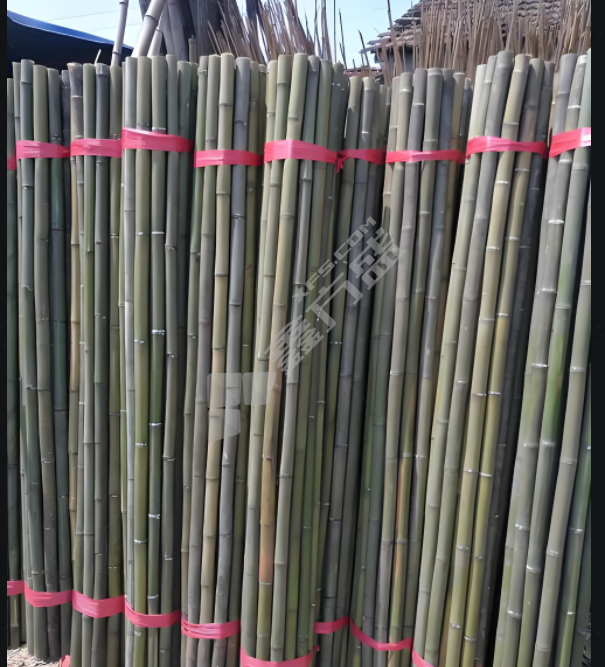 京固 竹竿小头 4米/2.5cm