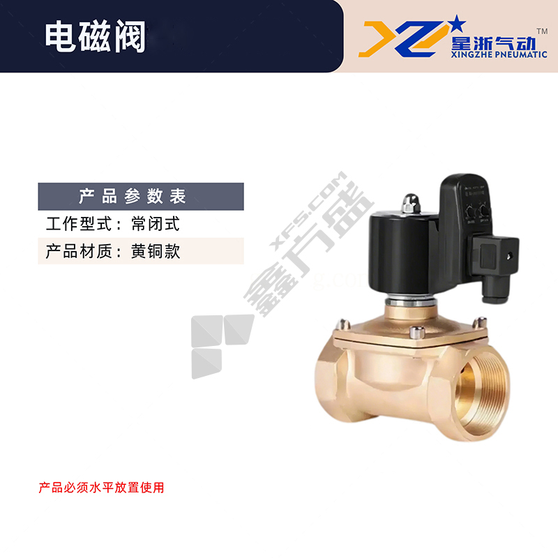 星浙气动 2W系列 常闭黄铜定时型 电磁阀水阀 2W250-25-DS DN25 AC220V 电源线连接