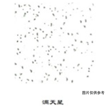 RH80 防潮矿棉吸音板 600*600*14mm 满天星 RH95