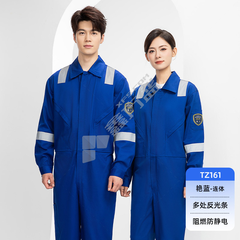 恒漉 TZ161 防静电阻燃连体服 190cm 艳蓝色