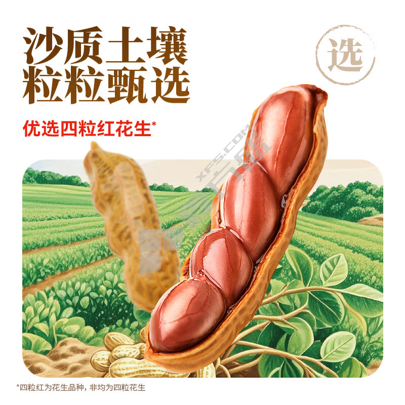 黄飞红 卤煮花生 258g 香辣味