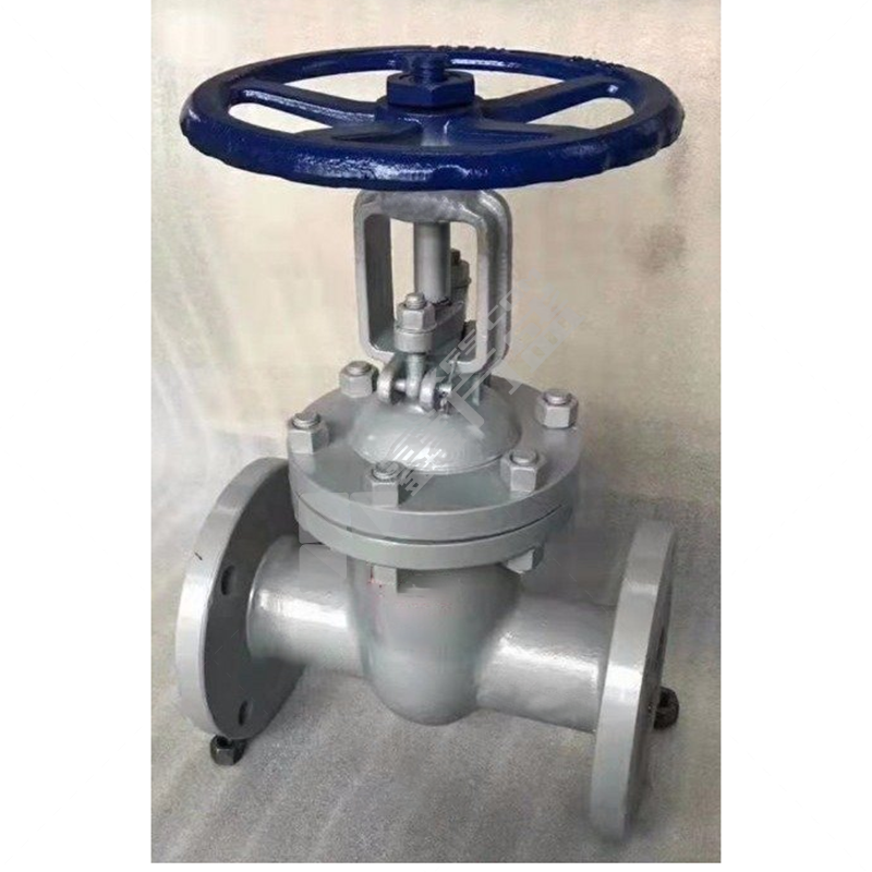 远大 国标铸钢法兰伞齿轮明杆闸阀 DN250 Z541H-16C PN16