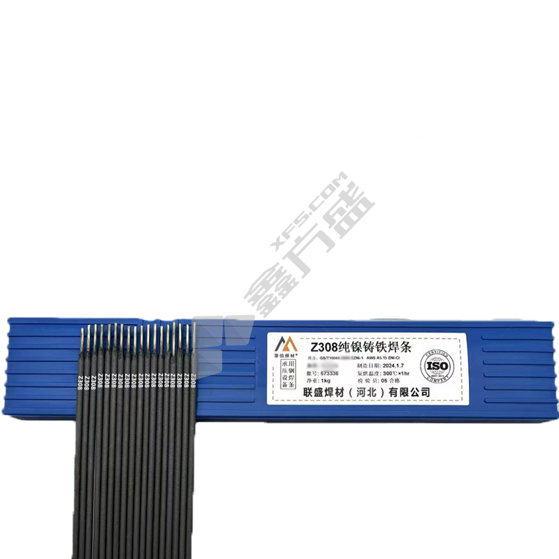 蒂伯 Z308 生铁铸铁焊条 2.5mm 1kg