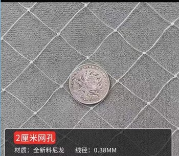 防鸟护网 3m*10m