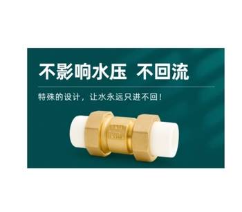 国产优品 PPR立式止回阀 25*25