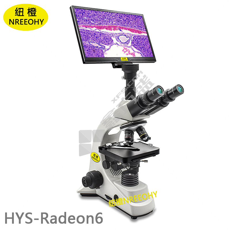 纽橙 生物显微镜 40-1000倍 HYS-Radeon6