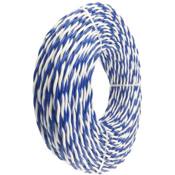 上上 100米 低烟无卤阻燃A类耐火双绞线 WDZAN-RYJS 300/500V 2*0.75平方 蓝白色