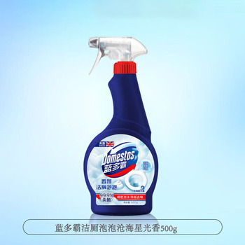 蓝多霸 洁厕慕斯 500g 洁厕