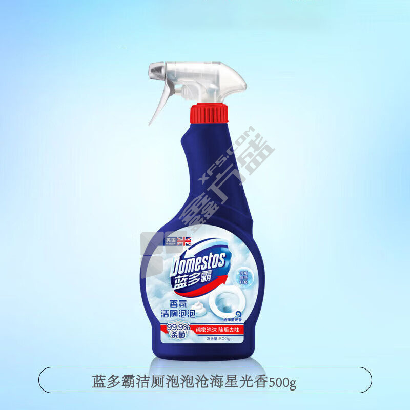 蓝多霸 洁厕慕斯 500g 洁厕