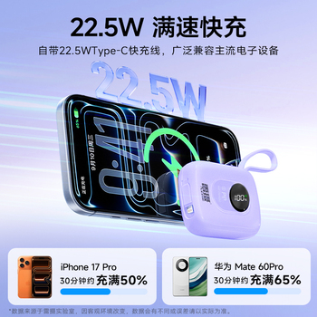 雷摄 MH851 便携快充移动电源 香芋紫 10000mAh 76.2*60*29.3mm