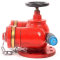 柳成 室外水泵接合器 DN150 PN1.0MPa