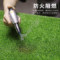 #绿草皮 2m*25m