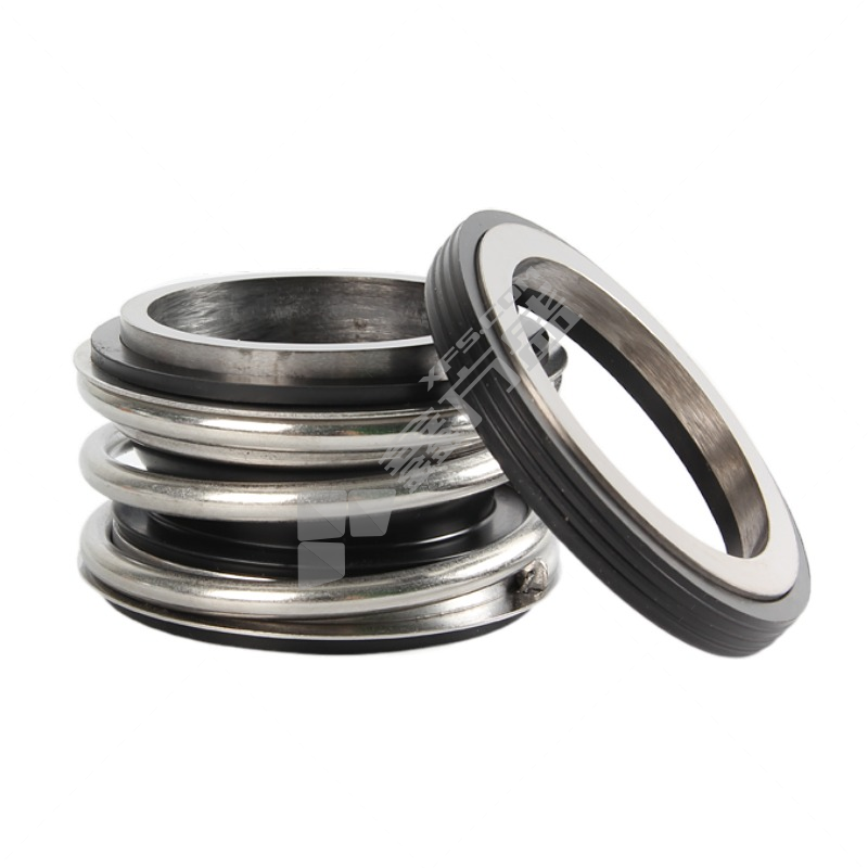 机封 MG1/55-G60(伯格曼）