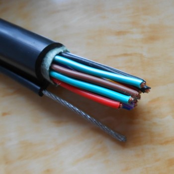 沪安低烟无卤阻燃耐火控制电缆 WDZN-KYJY-4*2.5+12*1.5mm²