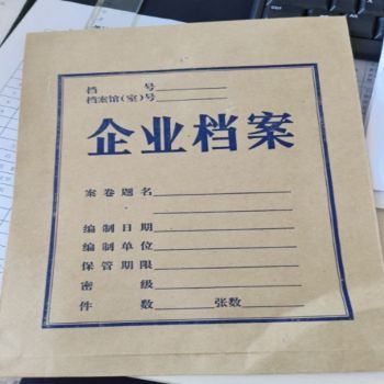 晨鸣 企业档案袋 无酸纸 牛皮纸袋 30.5×21.5×3cm