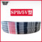 五湖 SPB型窄V带 SPB2530 5V1000 2530mm