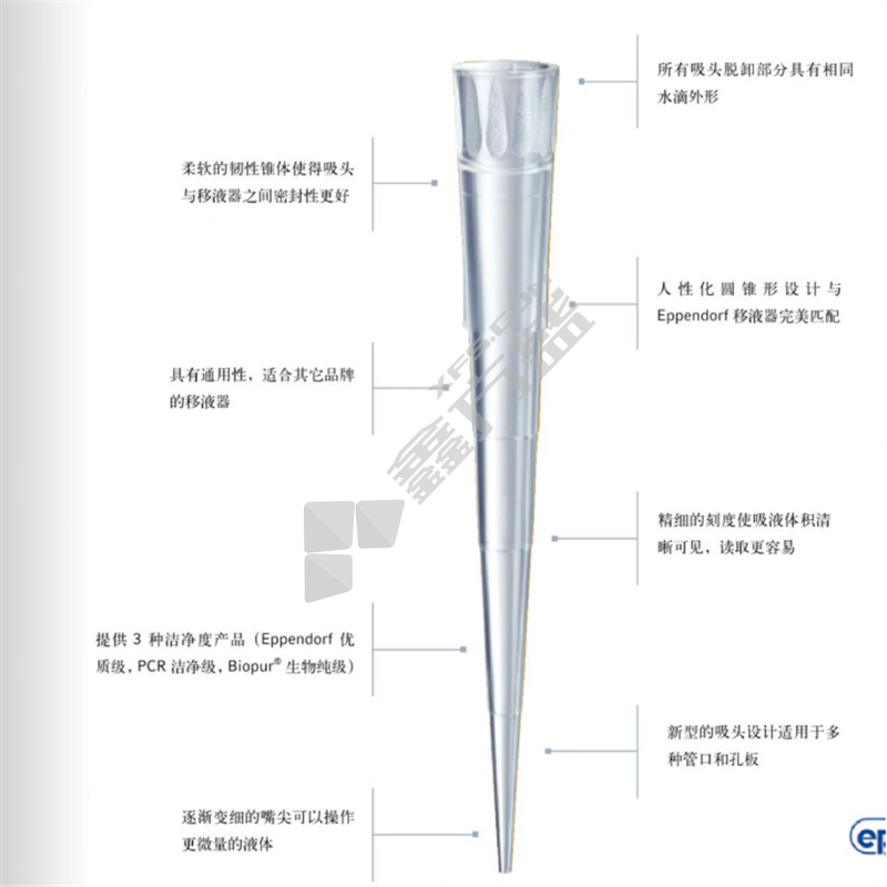 艾本德 移液枪头 10ml