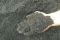 雄德机制山砂（定制） 0.5cm-1cm