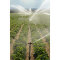 南方灌溉 灌溉系统 25*1.8PE管800米 三通 活接 堵头 弯头各30个 喷头300套 堵头5个 直接10个 25型三通10个 球阀5个 打孔器10个