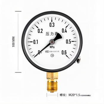 虎牌 普通压力表 Y-100 0~0.6mpa