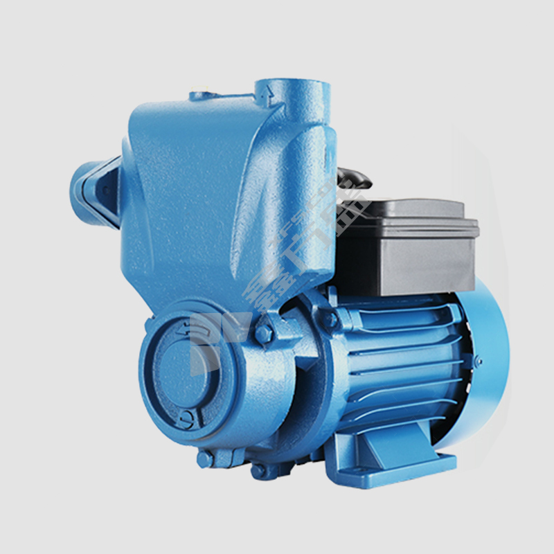大元 非自动款高扬程增压单相自吸泵 750w-1.8方扬程25米-1寸单相220v/A1-750