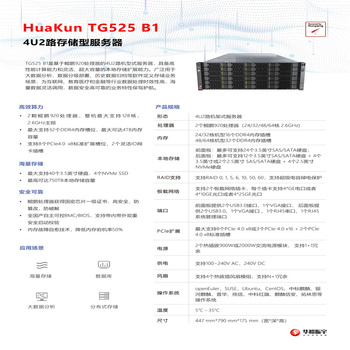华鲲4U2路存储型-TG525 B1-32C TG525 B1