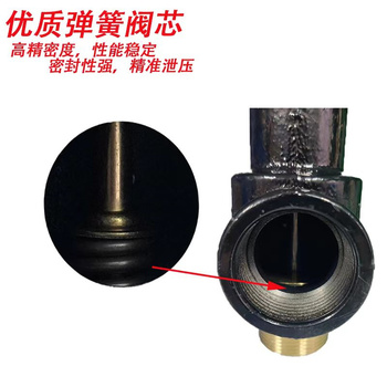 FuChao 安全阀 A28W-16T/公称通径DN40mm 