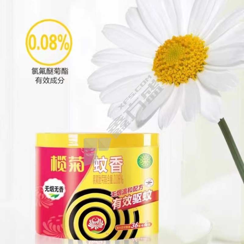 榄菊蚊香 10盘/盒