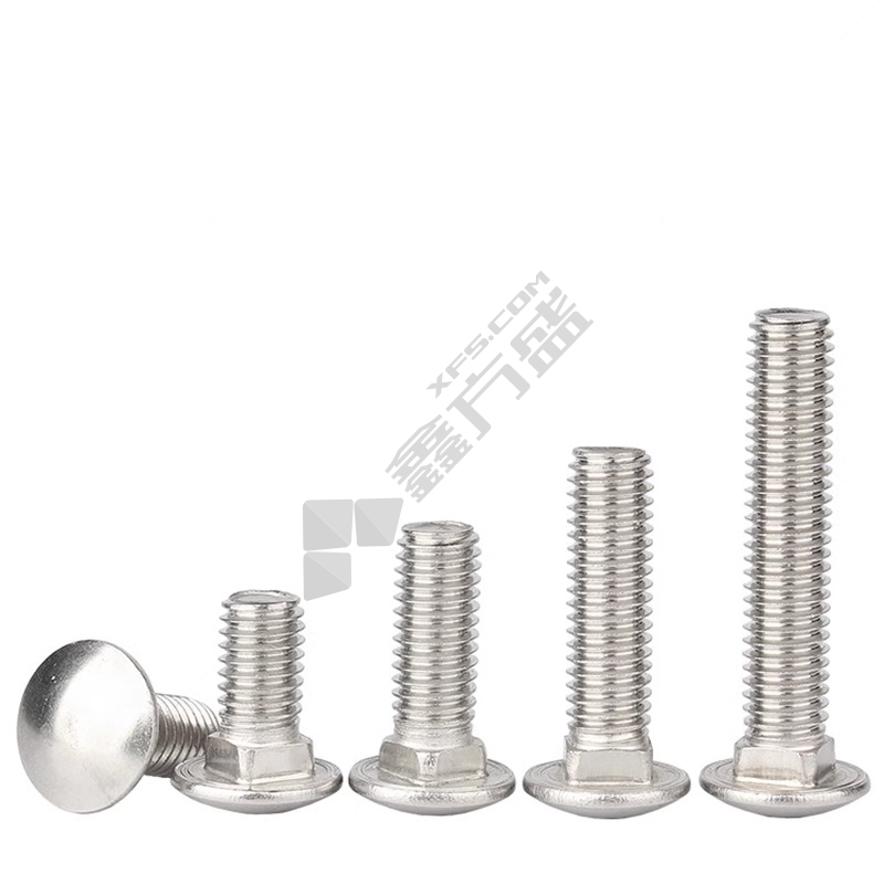 马车螺栓 M10x65.