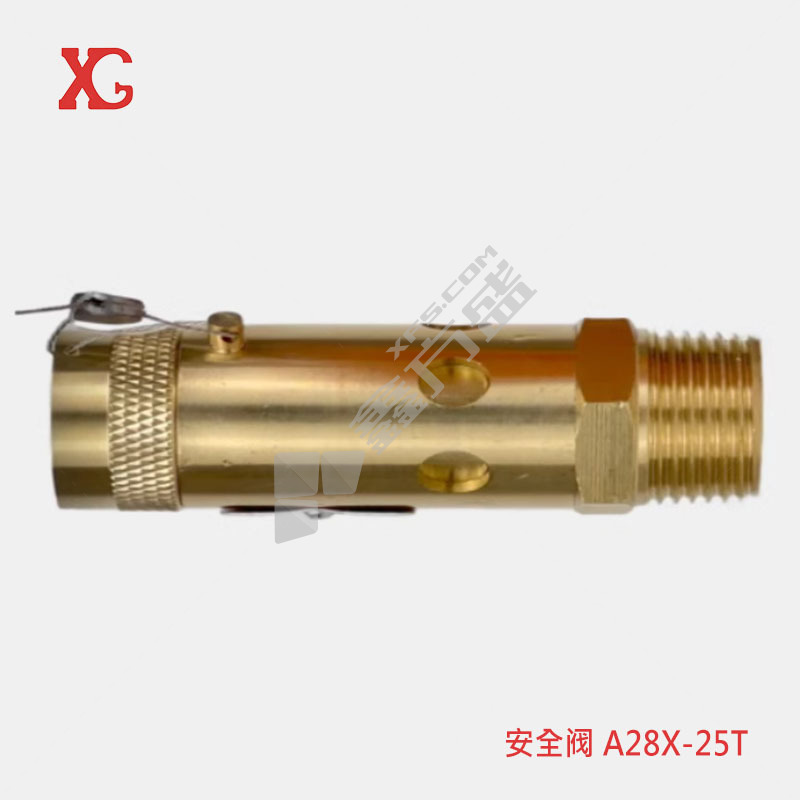 XG 安全阀 A28X-25T