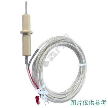 温度电极. WD-1 WD-1..