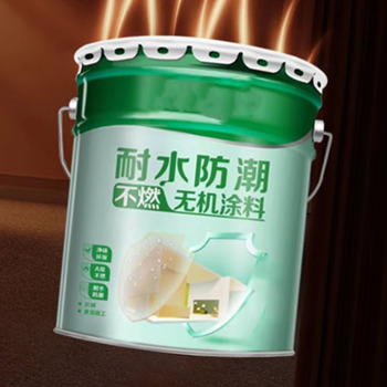 耐擦洗水性涂料 450g