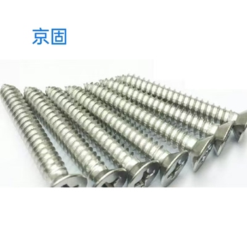 京固 不锈钢直攻螺丝 1个 4*25MM