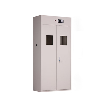 凯乐华 二代报警气瓶柜 900mm*450mm*1900mm/双瓶/白色