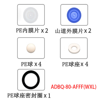 正量POSITIVE 隔膜泵流体维修包 ADBQ-80-AFFF(WXL)