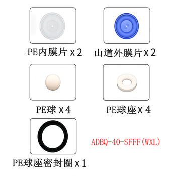 正量POSITIVE 隔膜泵流体维修包 ADBQ-40-SFFF(WXL)