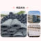 鑫天河 安全网HPET60-60MS(G)  经向拉伸强度≥60kN/m纬向拉伸强度≥60kN/m，护顶护帮聚酯纤维 安全网 HPET60-60MS(G)