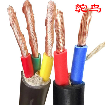 鸵鸟 RVV护套软线 9*1