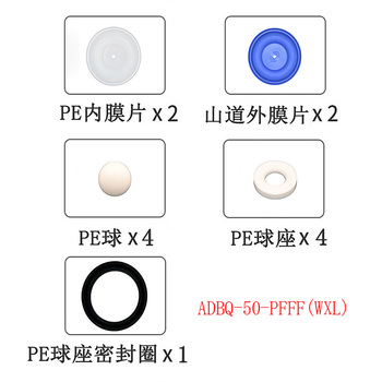正量POSITIVE 隔膜泵流体维修包 ADBQ-50-PFFF(WXL)