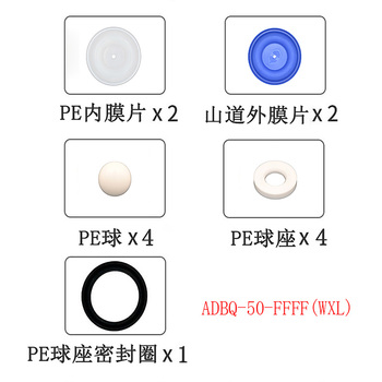 正量POSITIVE 隔膜泵流体维修包 ADBQ-50-FFFF(WXL)