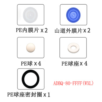 正量POSITIVE 隔膜泵流体维修包 ADBQ-80-FFFF(WXL)