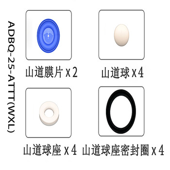 正量POSITIVE 隔膜泵流体维修包 ADBQ-25-ATTT(WXL)