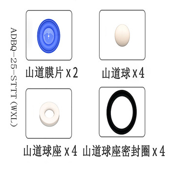 正量POSITIVE 隔膜泵流体维修包 ADBQ-25-STTT(WXL)